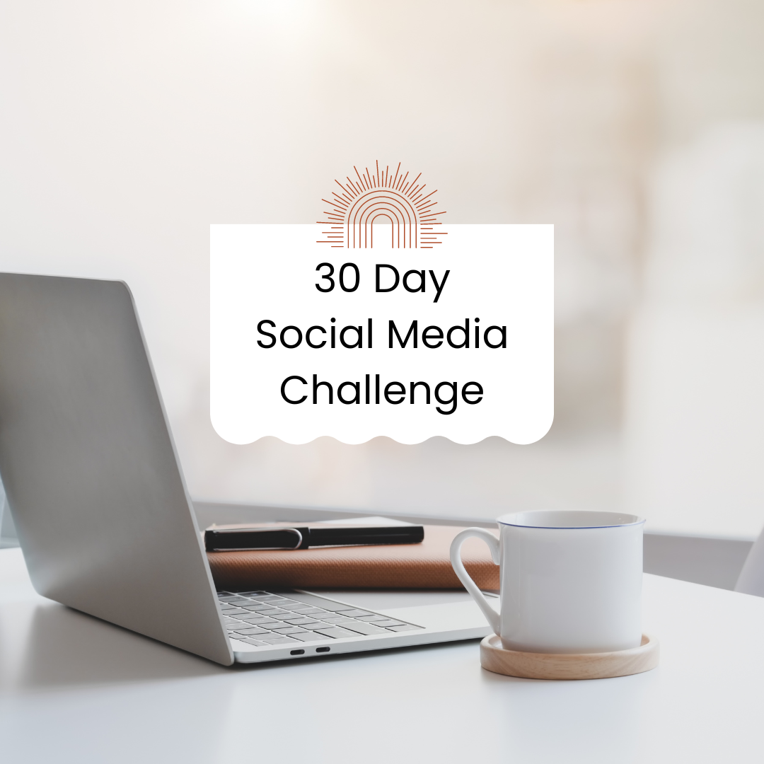 30 Day Social Media Challenge - with PLR & MRR